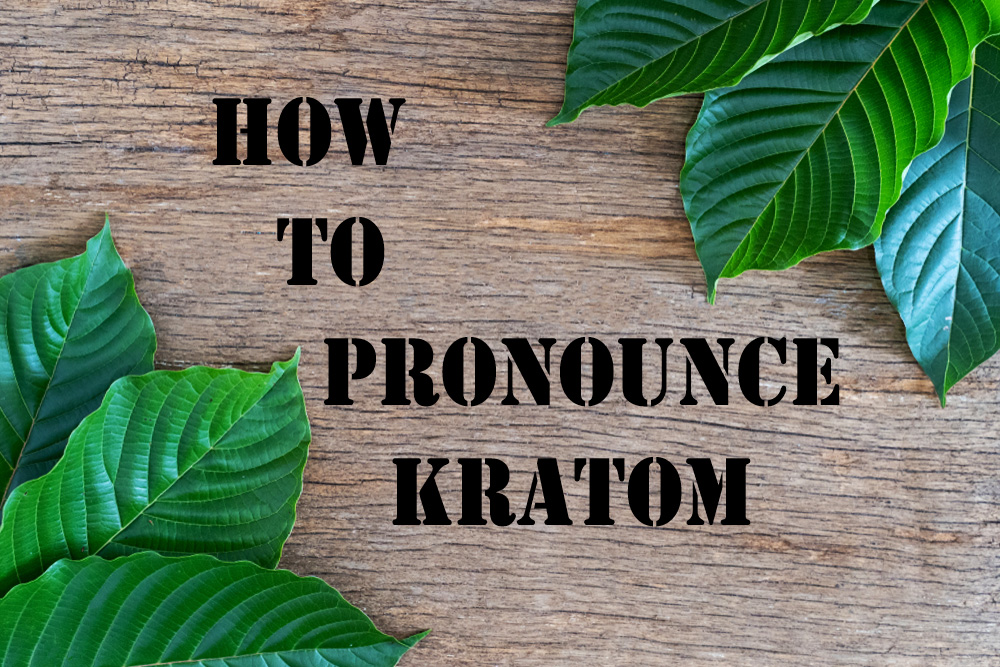 Leaves fanned out on two corners of the image with “how to pronounce kratom” written in the middle